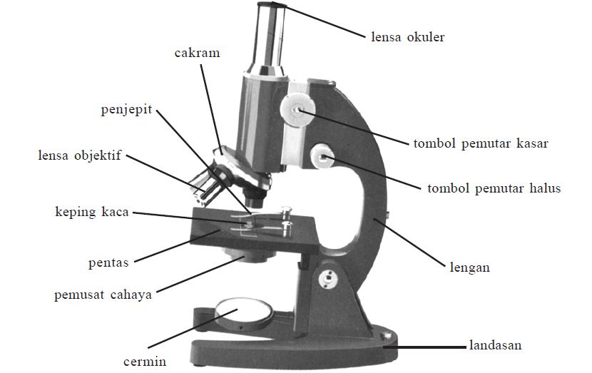 Bagian-bagian Mikroskop dan Fungsinya