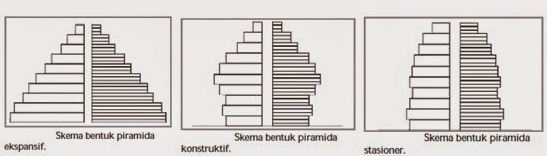 Macam-macam Piramida Penduduk Indonesia
