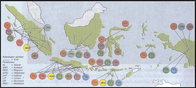Macam-macam Jenis Tanah di Indonesia dan Persebarannya