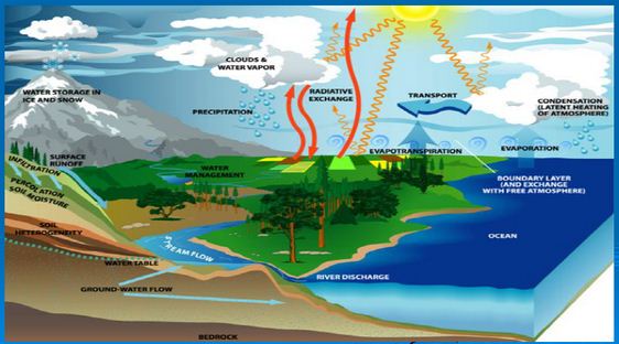 Pengertian Siklus Hidrologi beserta Contoh Gambarnya