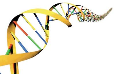 Istilah-istilah dalam Ilmu Genetika