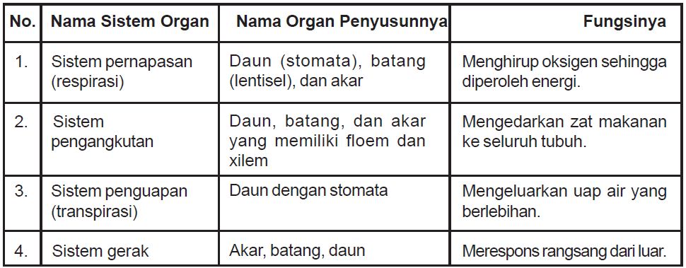 Pengertian Sistem Organ dan Macam-macam Sistem Organ pada Manusia, Hewan dan Tumbuhan