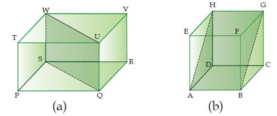 Bidang Diagonal Balok dan (b) Bidang Diagonal Kubus