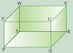 Pengertian Diagonal Bidang dan Diagonal Ruang beserta Rumusnya