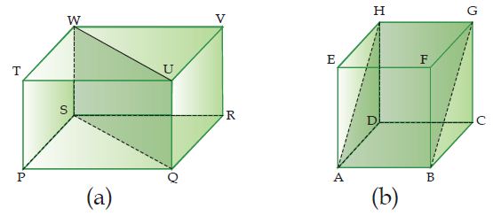 Banyak diagonal ruang pada balok pqrs tuvw adalah